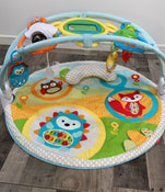 used Skip Hop Explore And More Amazing Arch Activity Gym