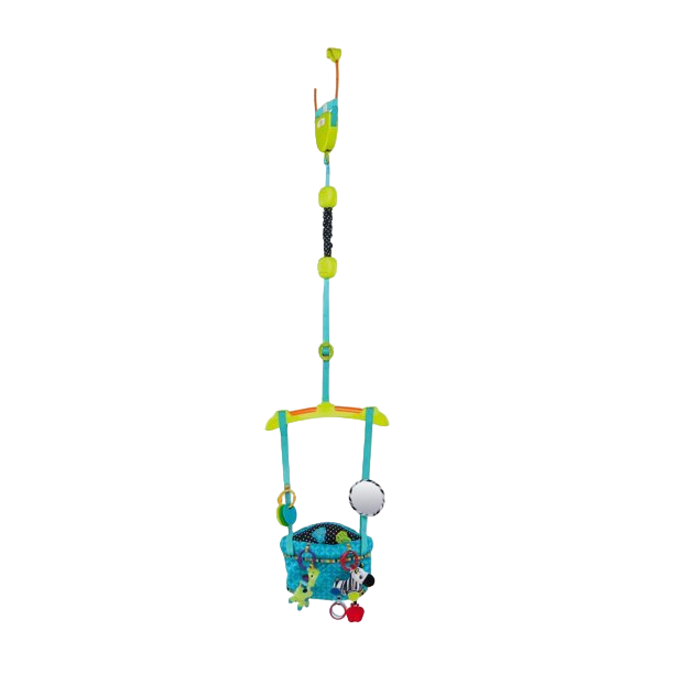 Shop Bright Starts Doorway Jumper, Bounce 'n Spring Deluxe at GoodBuy Gear