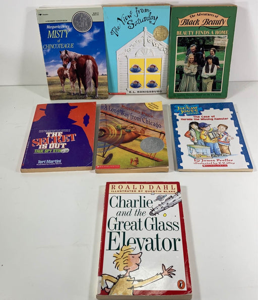 used BUNDLE Scholastic Books