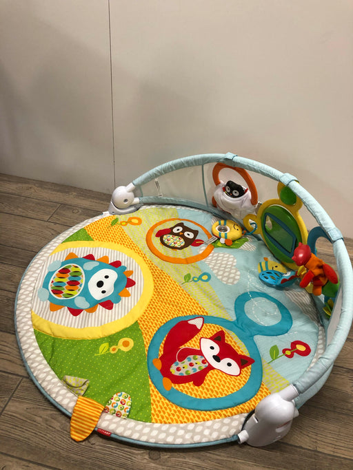 secondhand Skip Hop Explore And More Amazing Arch Activity Gym