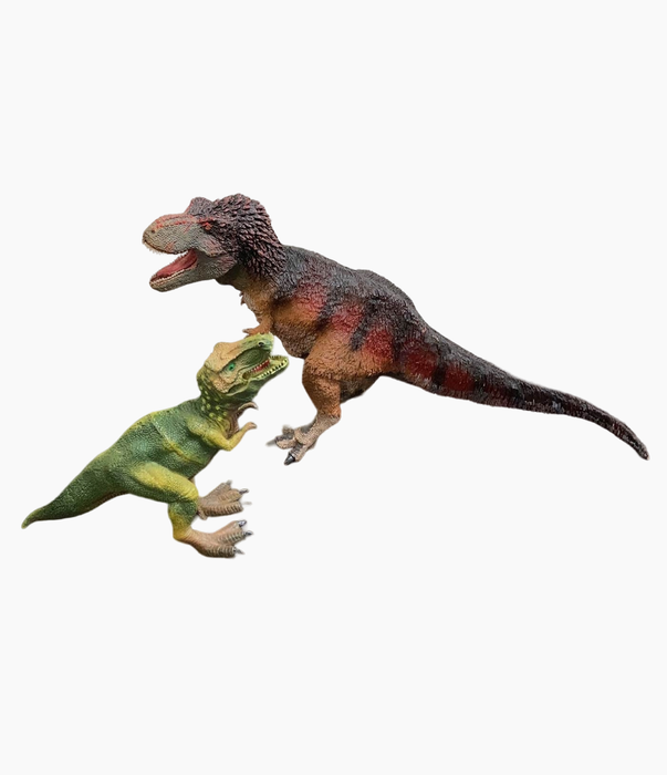 secondhand BUNDLE Dinosaurs