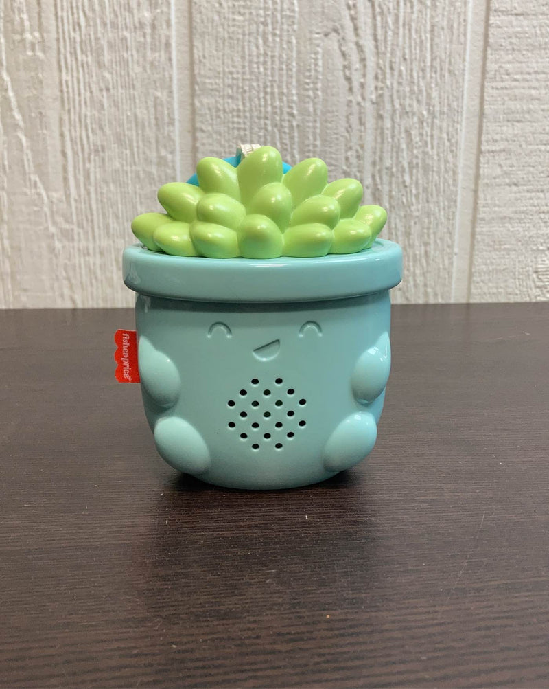 soothe and go succulent Fisher Price Soothe & Go Succulent