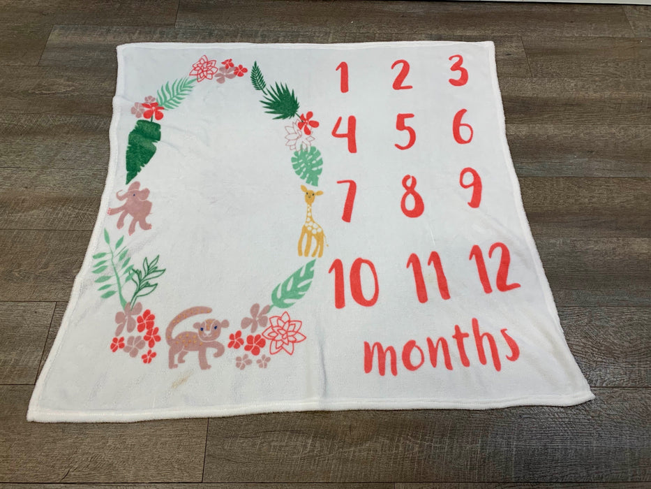 used Milestone Blanket