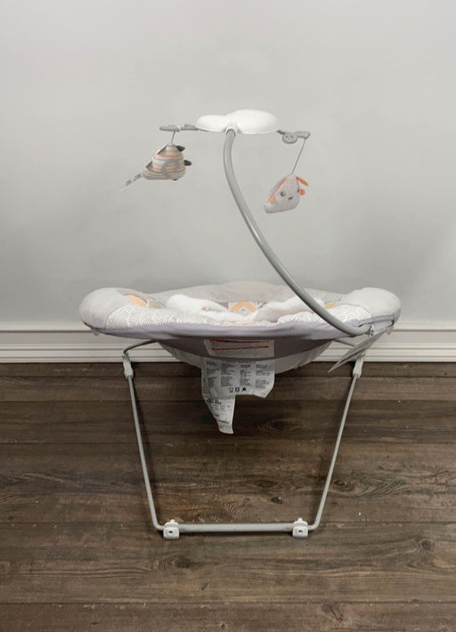 secondhand Fisher Price Deluxe Bouncer, Sweet Snugapuppy Dreams