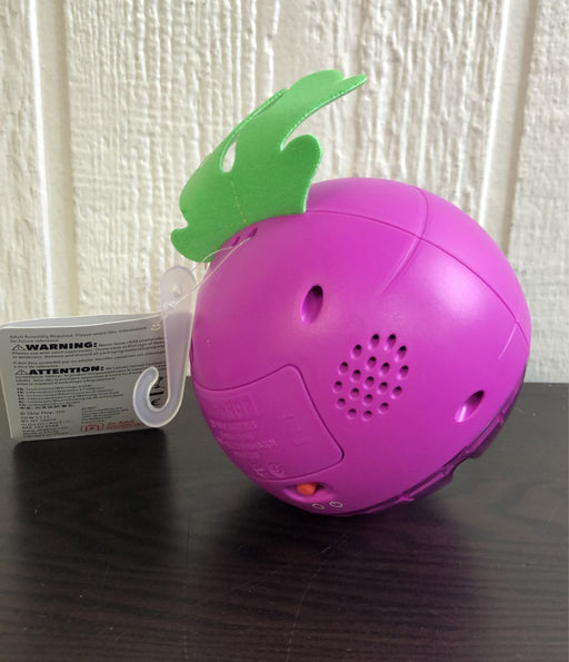 secondhand Skip Hop Beet Box Crawl Ball