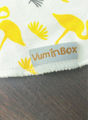 Shop BUNDLE Baby Bibs at GoodBuy Gear