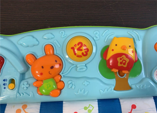 secondhand VTech Lil’ Critters Play And Dream Musical Piano