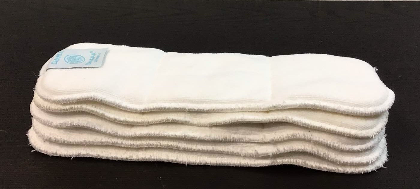 Shop Charlie Banana Cloth Diaper Inserts, One Size at GoodBuy Gear