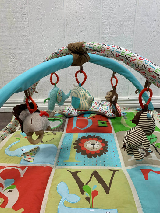 secondhand Skip Hop Activity Gym/ Playmat