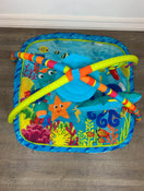 secondhand Baby Einstein Nautical Friends Play Mat