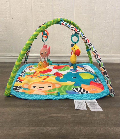 secondhand Bright Starts Activity Gym