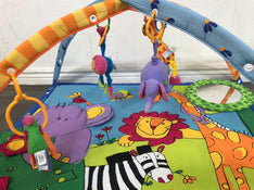 secondhand Tiny Love Gymini Super Deluxe Activity Playmat