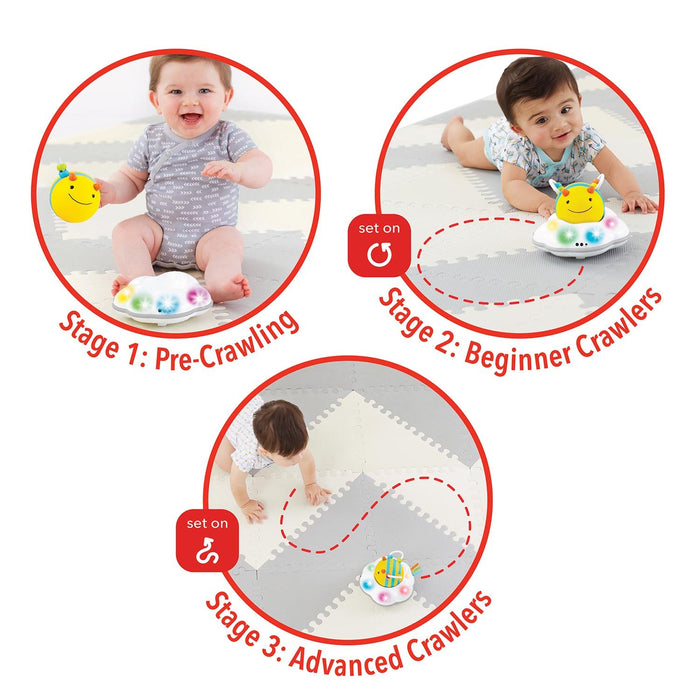 Skip Hop Explore & More Follow-Bee Crawl Toy