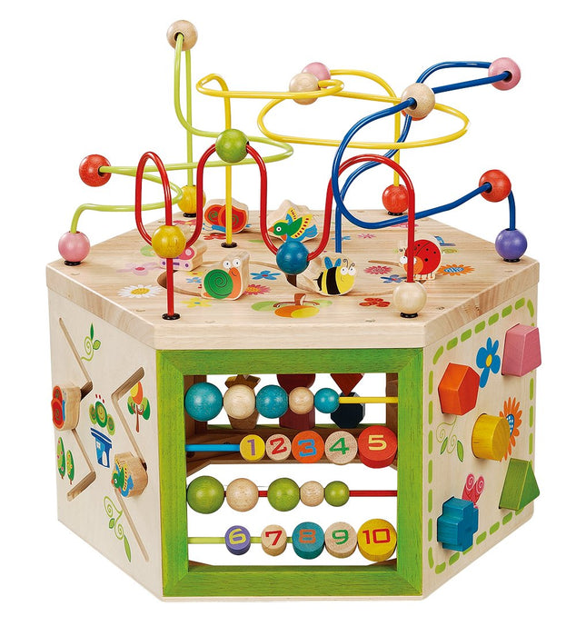 EverEarth Activity Cube