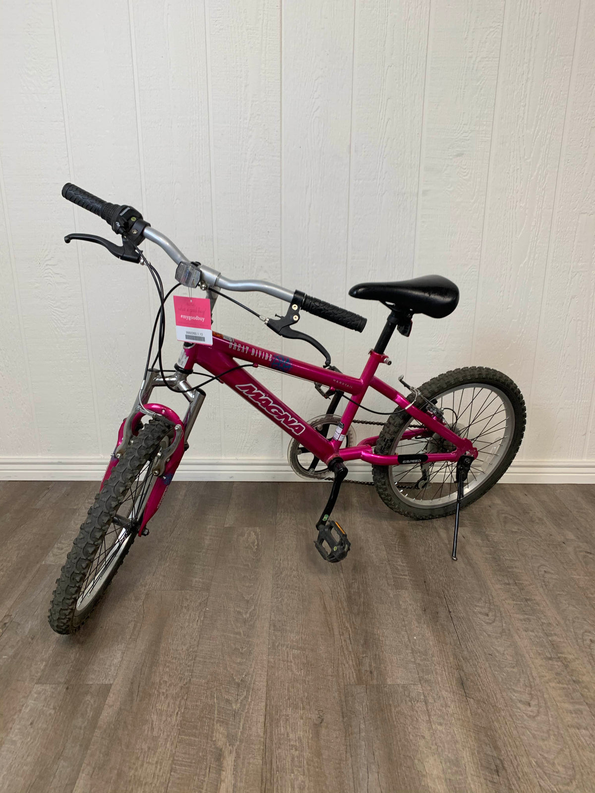 Magna Great Divide Mountain Bike, 20”