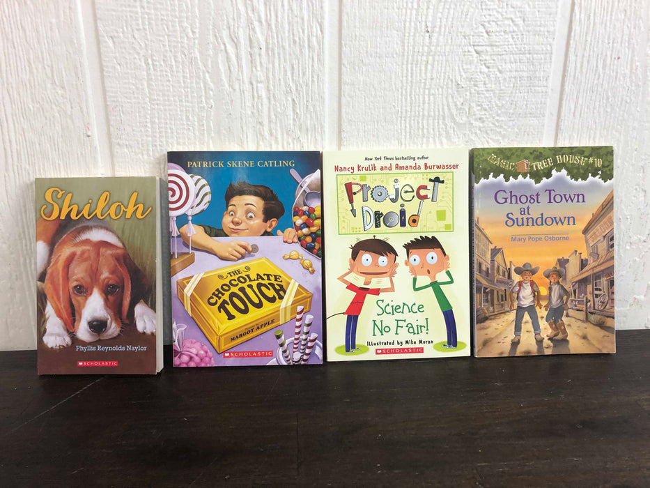 Shop BUNDLE Children’s Chapter Books at GoodBuy Gear