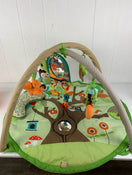secondhand Skip Hop Activity Gym/ Playmat, Treetop Friends