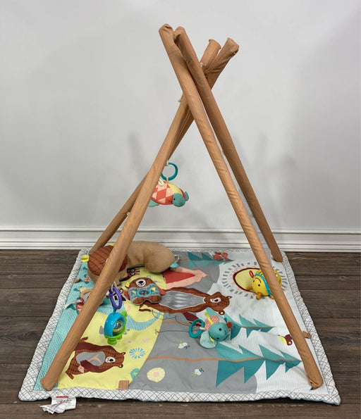 used Skip Hop Camping Cubs Activity Gym