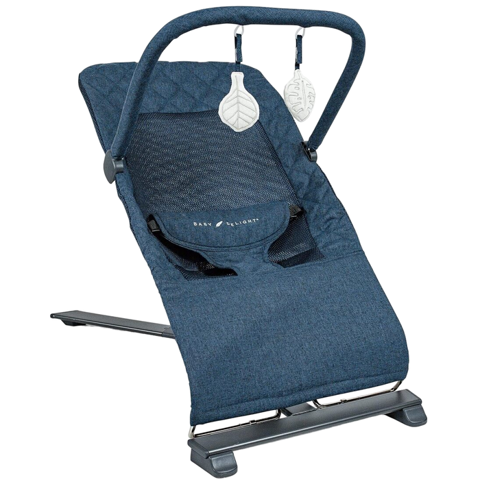 Baby Delight Go With Me Alpine Deluxe Portable Bouncer, Quilted Indigo