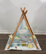 secondhand Skip Hop Camping Cubs Activity Gym