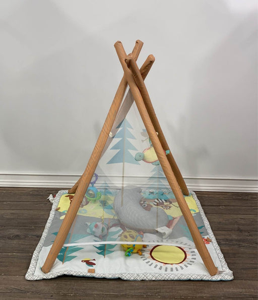 secondhand Skip Hop Camping Cubs Activity Gym