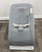 used Chicco E-Motion Auto-Glider & Bouncer Seat Cover