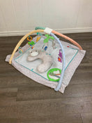 used Fisher Price Safari Dreams Deluxe Comfort Gym