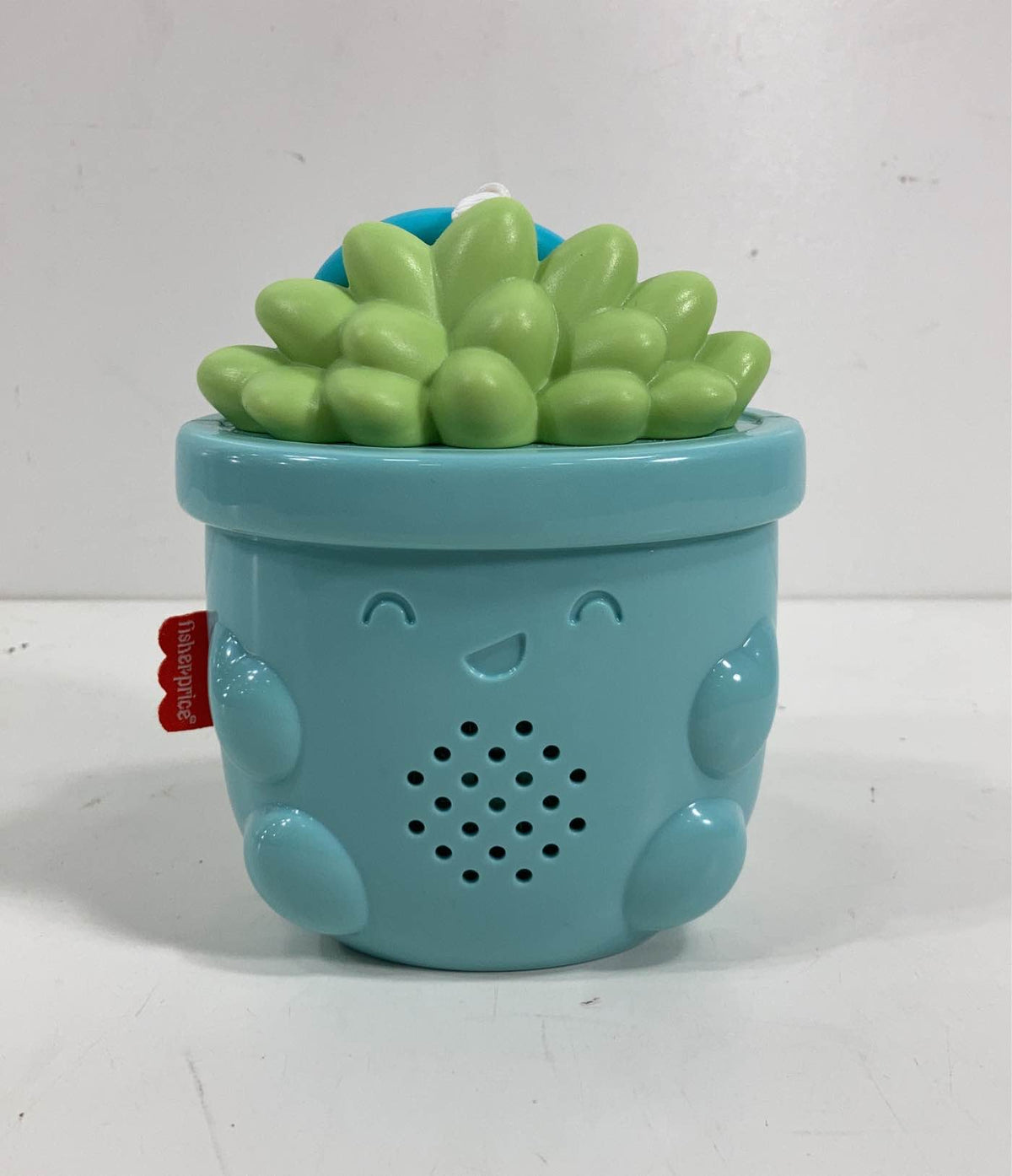 go succulent Fisher Price Soothe & Go Succulent