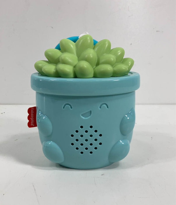 used Fisher Price Soothe & Go Succulent