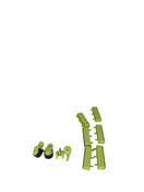 secondhand Chicco Walky Talky Baby Walker