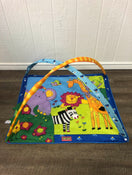 used Tiny Love Gymini Move And Play Activity Gym