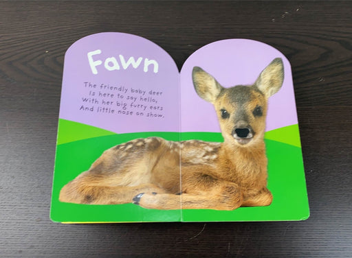 secondhand Children’s Book Touch and Feel Book