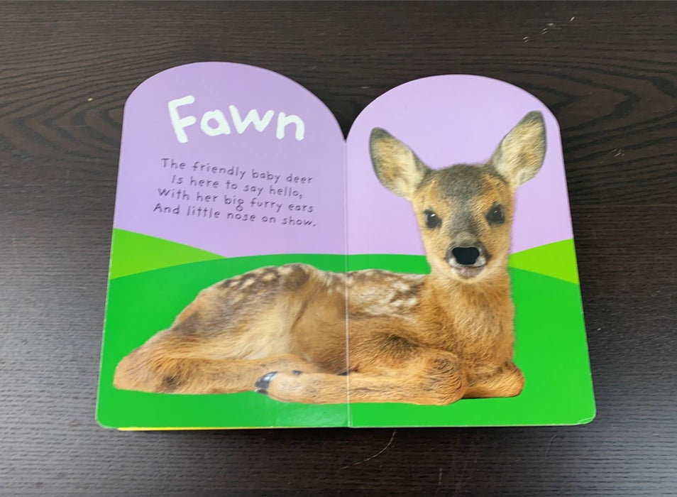secondhand Children’s Book Touch and Feel Book