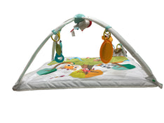 secondhand Tiny Love Gymini Deluxe Activity Gym, Into the Forest