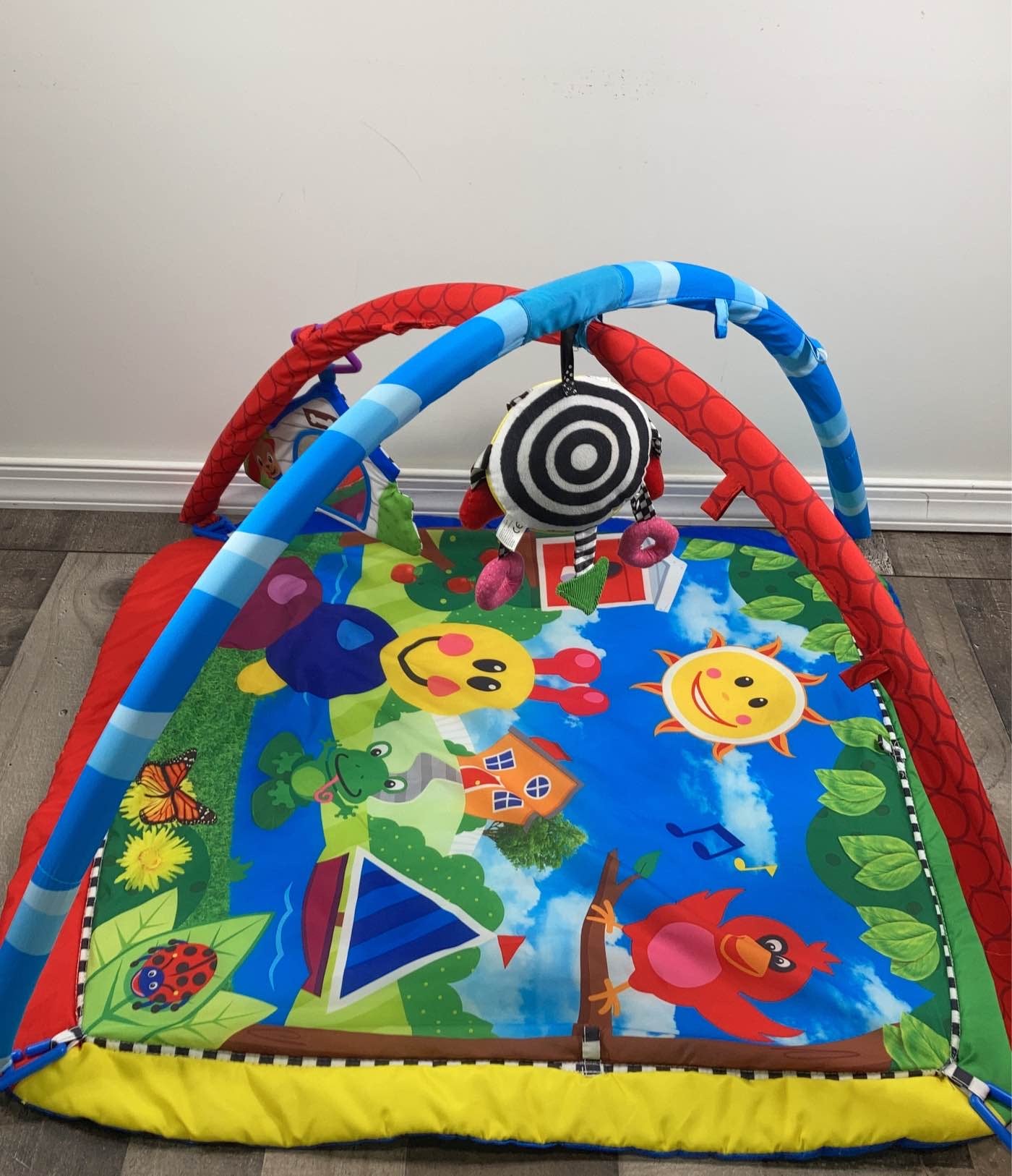 Baby einstein caterpillar and friends activity gym online