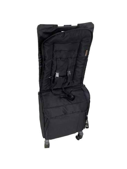 used Mountain Buggy Skyrider