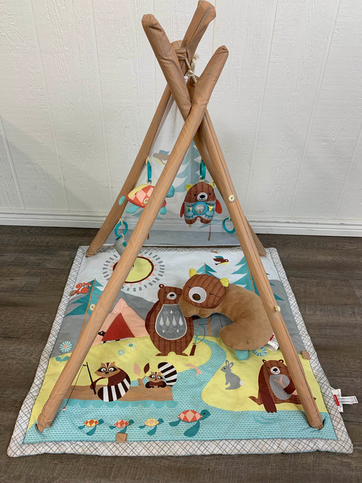 secondhand Skip Hop Camping Cubs Activity Gym