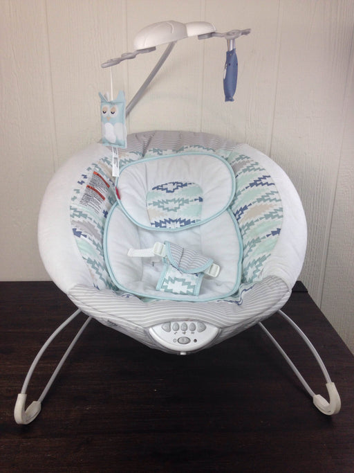 used Fisher Price Baby Bouncer