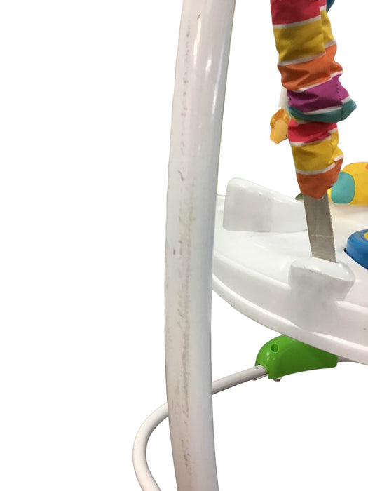 used Fisher Price Go Wild Jumperoo