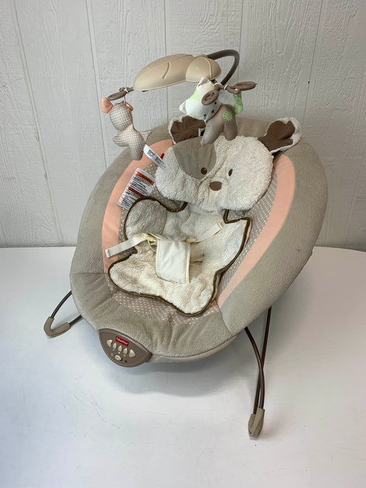 used Fisher Price Deluxe Bouncer, My Little Snugapuppy