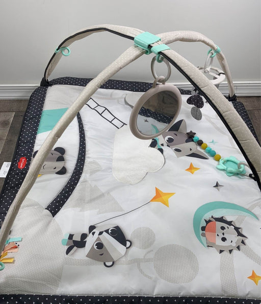 secondhand Tiny Love Black & White Gymini Activity Playmat