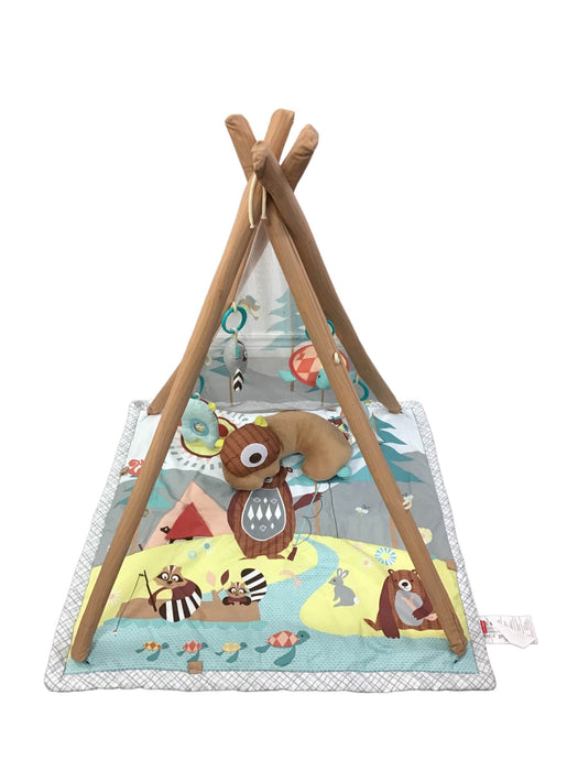 used Skip Hop Camping Cubs Activity Gym