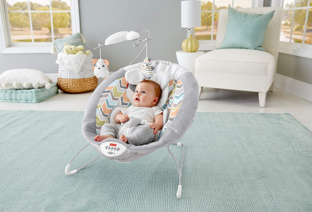 Fisher Price Deluxe Bouncer, My Little Snugapuppy