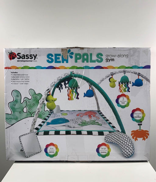 used Sassy Sea Pals Play Mat