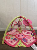 used Bright Starts Activity Gym, Giggle Garden