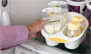 Shop Medela Bottle Storage Tray at GoodBuy Gear
