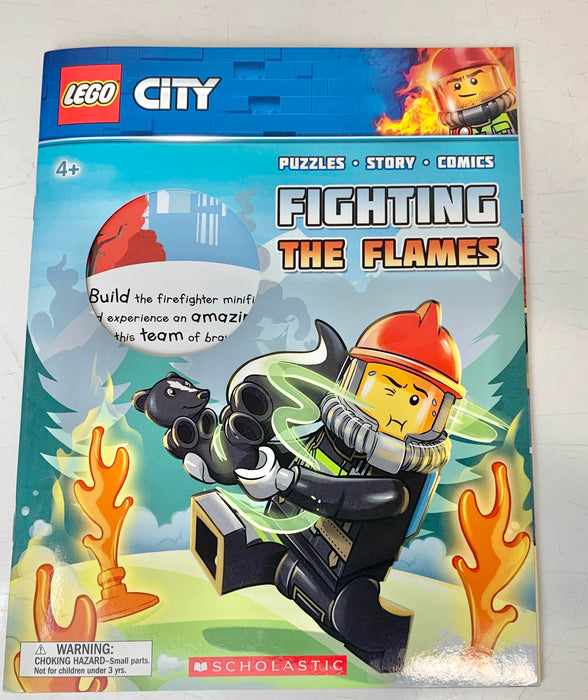 used BUNDLE LEGO Books