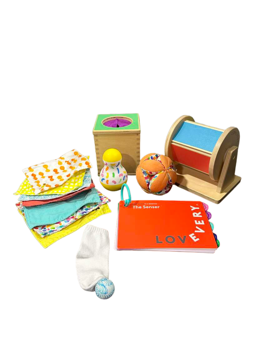 used Lovevery The Senser Play Kit