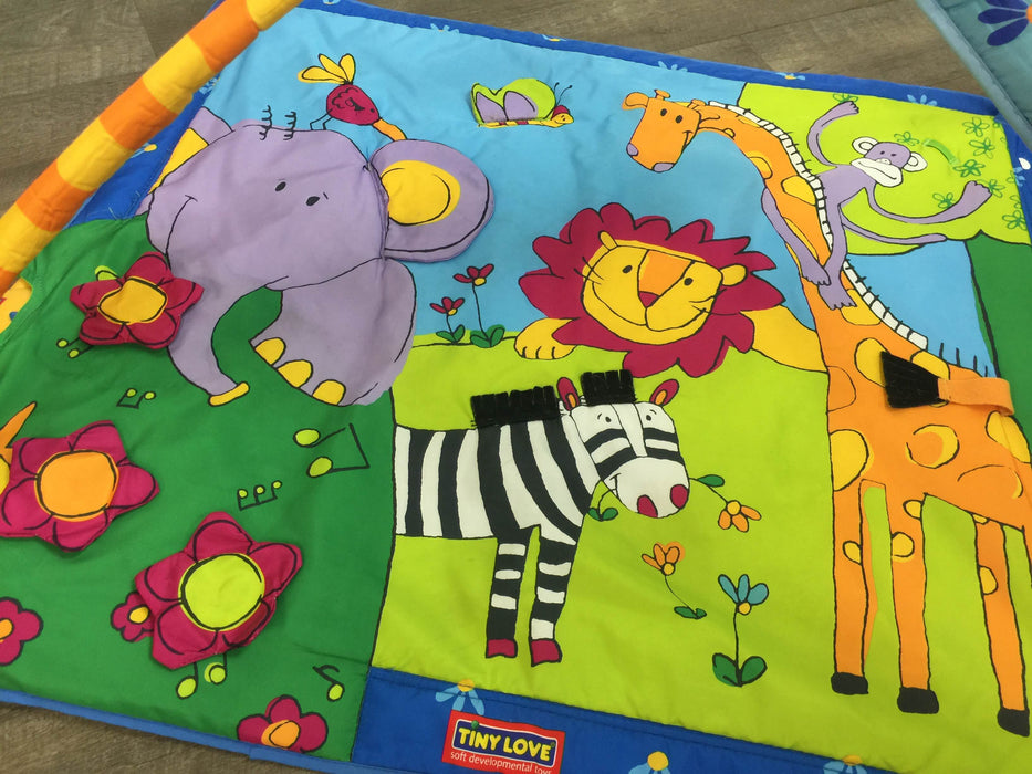 secondhand Tiny Love Gymini Move And Play Activity Gym