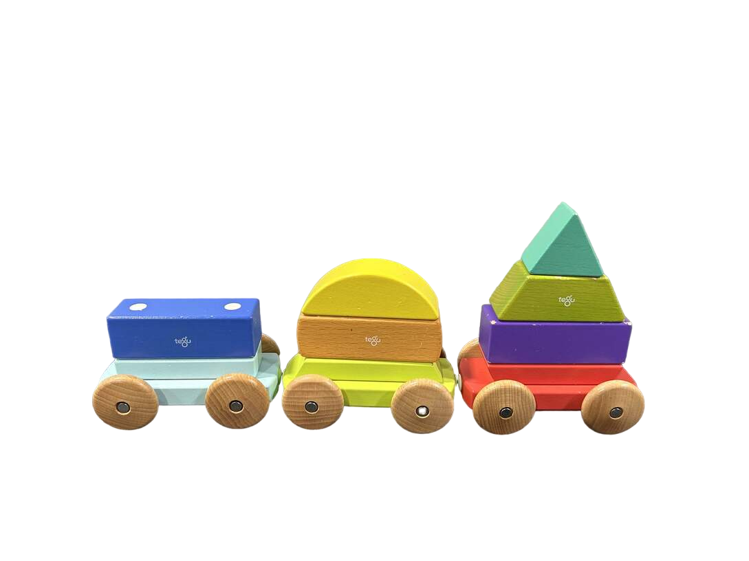 Tegu top shape train